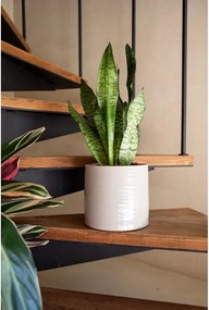 Ghiveci decorativ din ceramică handmade ø 18 cm Fortuna – Artevasi