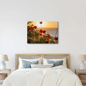Tablou cu apus de soare cu flori de maci (70x50 cm)