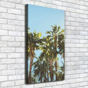 Imprimare tablou canvas Palmieri
