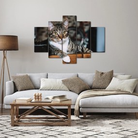 Tablou cu pisica (150x105 cm)