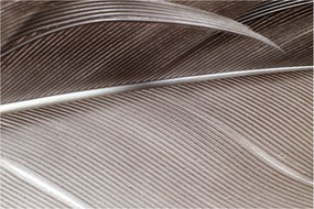 Tablou cu fibre abstacte (90x60 cm)