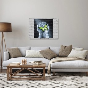 Tablou pe sticlă - Fluture verde în perete (70x50 cm)