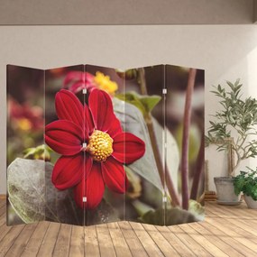 Paravan - Floare (210x170 cm)