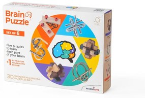 Puzzle Brain Puzzle – RecentToys