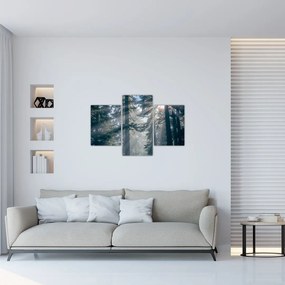 Tablou cu copaci și soarele translucind (90x60 cm)