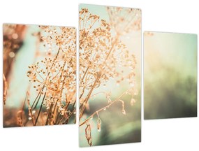 Tablou - Plante de luncă (90x60 cm)