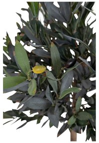 Măslin artificial (înălțime 126 cm) – House Nordic