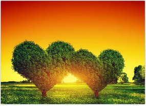 Tablou - Inima în coroanele copacilor (70x50 cm)