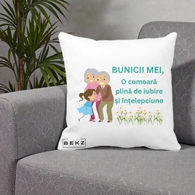 Cadou pentru Bunici - Perna Personalizata Bunicii Mei Comoara Iubire Intelepciune Nepoata, 40x40 cm, Alba Mata, Husa Detasabila, Perna Inclusa, BEKZ®