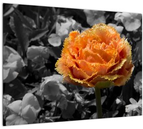 Tablou pe sticlă cu floare (70x50 cm)