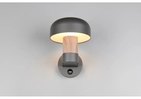 Corp de iluminat pentru exterior, de perete (înălțime 24,5 cm) Fraser – Trio