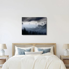 Tablou cu ceță deasupra pădurii (70x50 cm)