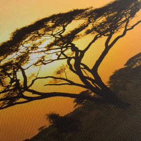 Tablou - Savana africană (90x60 cm)