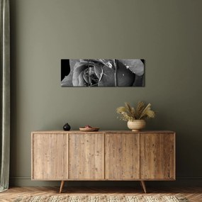 Tablou cu trandafir - albneagră (cu ceas) (90x30 cm)