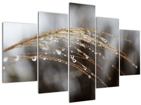 Tablou - Picături pe plantă (150x105 cm)