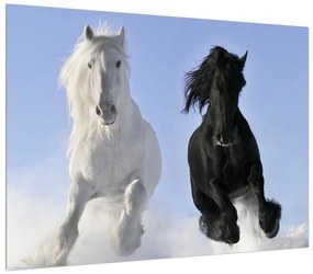Tablou cu cai (70x50 cm), în 40 de alte dimensiuni noi