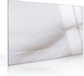 Tablou pe sticlă - Pană albă (70x50 cm)