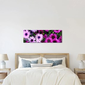 Tablou - Flori (cu ceas) (90x30 cm)