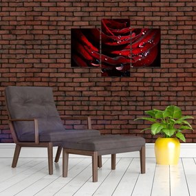 Tablou - Trandafir (90x60 cm)