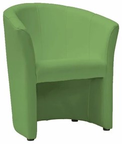 Fotoliu TM-1 piele ecologica verde/wenge EK11