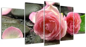 Tablou - trandafiri (150x70cm)