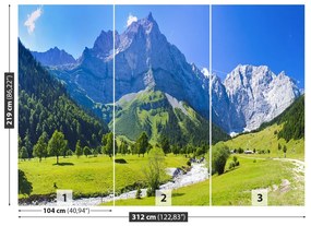 Fototapet Panorama Alpii