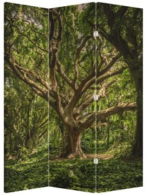Paravan - Copaci (126x170 cm)