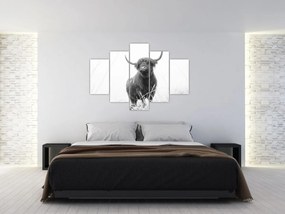 Tablou - Vacă scoțiană 4,alb-negru (150x105 cm)