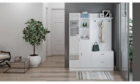 Set de hol Dana White