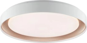 Brilliant - Plafonieră LED dimabilă WALDO LED/36W/230V alb/aur roz + telecomandă
