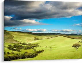 Tablou - Peisaj verde cu dealuri (70x50 cm)