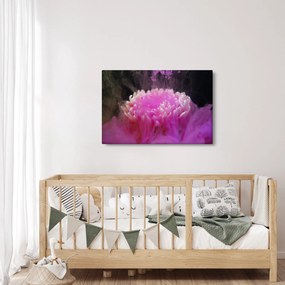 Tablou cu floare în fum roz (90x60 cm)