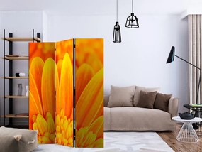 Paravan - Yellow gerbera daisies [Room Dividers]