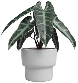 Ghiveci din ceramică făcut manual ø 17 cm Echo – Artevasi