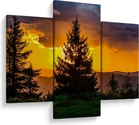 Tablou - coniferi (90x60 cm)