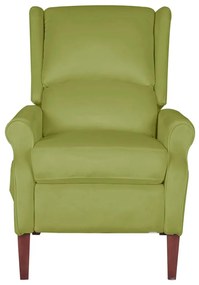 329282 vidaXL Fotoliu rabatabil, verde deschis, catifea