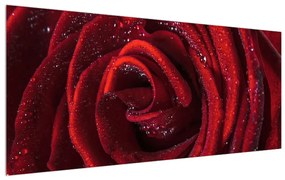 Tablou cu trandafir roșu (120x50 cm), în 40 de alte dimensiuni noi