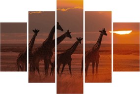 Tablou - Girafe în savana africană (150x105 cm)