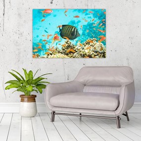 Tablou lumii submarine (90x60 cm)