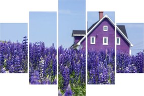 Tablou cu câmp de lavanda (150x105 cm)