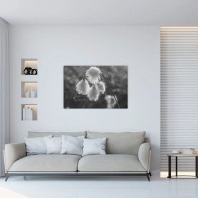 Tablou - Iarba de bumbac (90x60 cm)