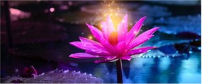 Tablou cu lotus pe apă (120x50 cm)