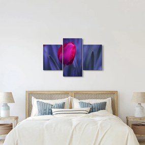 Tablou mugure de lalea (90x60 cm)