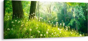 Tablou - Pajiște magică plină de păpădii (120x50 cm)