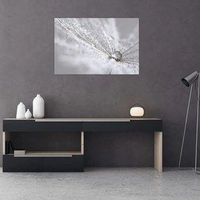 Tablou - Picătură de apă (90x60 cm)