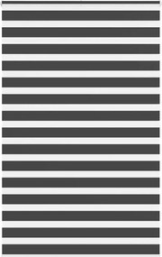 vidaXL Jaluzea tip zebra neagră lățime țesătură 140,9 cm poliester