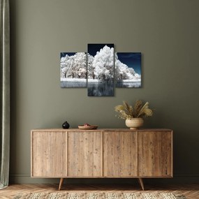 Tablou - Albă ca Zăpada Albă ca Zăpada Copaci (90x60 cm)