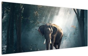 Tablou cu elefant în djunglă (120x50 cm)