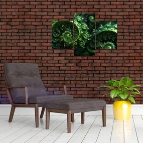 Tablou - Spirale (90x60 cm)