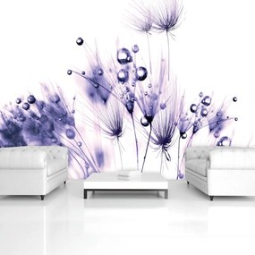 Fototapet - Flori (254x184 cm)